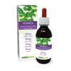 Moringa (Moringa oleifera or Moringa aptera) Leaves Alcohol-free Mother Tincture