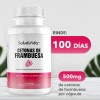 Cetonas Frambuesa 500 100 Cápsulas Salud Vida