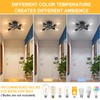 SunRider Industrial 4-Light Semi Flush Mount Ceiling Light Fixture, Modern