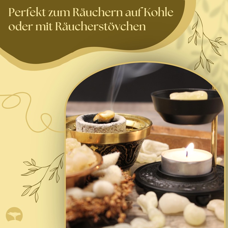 Superior Hojari Frankincense White from Oman - Boswellia Sacra -