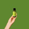 ACEITE ESENCIAL LEMONGRASS PURO 30ML