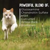 ACTIVPHY Hip + Joint Mobility Collar for Cats with Glucosamine,