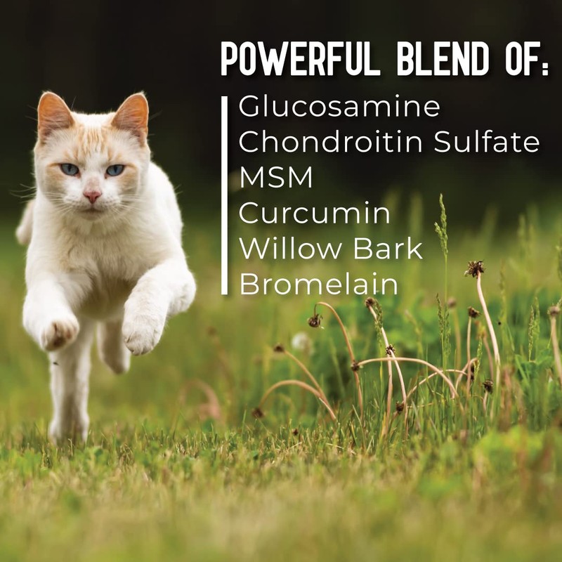ACTIVPHY Hip + Joint Mobility Collar for Cats with Glucosamine,