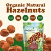 Food to Live Organic Hazelnuts, 4 Pounds – Non-GMO, Raw