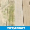 Wet & Forget No Scrub Outdoor Cleaner for Easy Removal