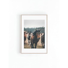 Photo Of Wild Horses Running Ranch Home Decor And Cowboy Photos Wildlife Large Posters Print Instant