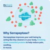 Bio Absorb Serrapeptase Supplement 120000 SPU, High Potency, Delayed Release