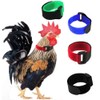 Tkocisa 4 Pack No Crow Rooster Collar, Chicken Collar Anti-Hook