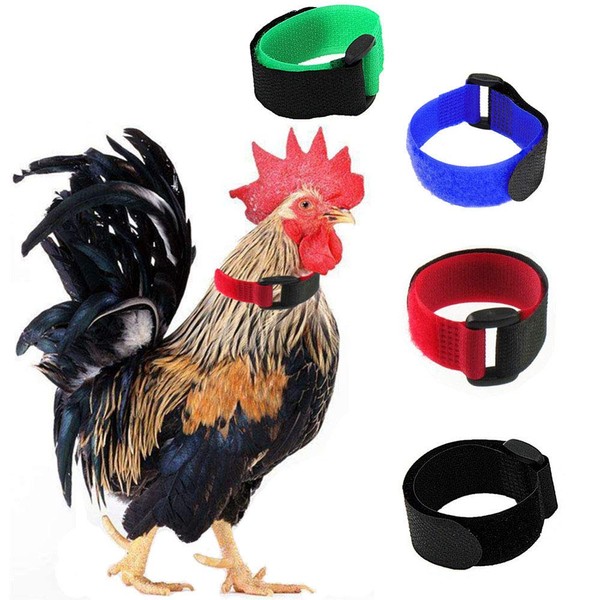 Tkocisa 4 Pack No Crow Rooster Collar, Chicken Collar Anti-Hook