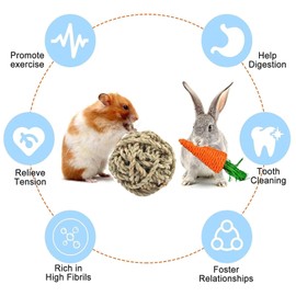 Naturezhen Rabbit Chew Toys, Natural Bunny Chew Toys, Hamster Chew Toys Set, Small Pets Teeth Care Molar Exercise Bunny Toys for Rabbits, Guinea Pig, Hamster and Other Small Animals (25PCS)