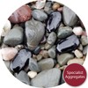 Specialist Aggregates ® - 25 Small Black, Flat Glass Pebbles/Nuggets/Stones.