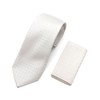 Enrico Gigli Formal Silk Necktie Pocket Square Set -