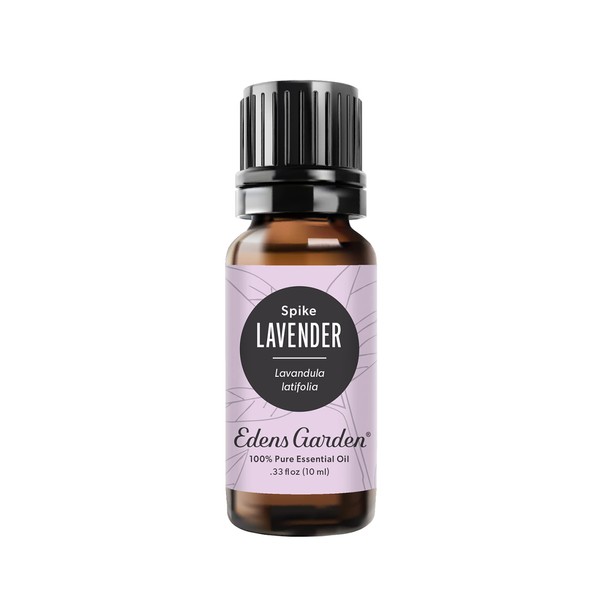 Edens Garden Lavender- Spike Essential Oil, 100% Pure Therapeutic Grade (Undiluted Natural/Homeopathic Aromatherapy Scented Essential Oil Singles) 10 ml