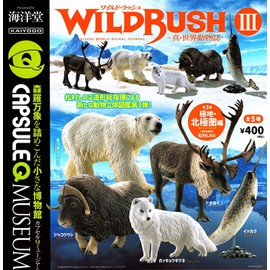 Capsule Q Museum WILD RUSH III, Shin World Animal Magazine Chapter 3, Polar & Arctic Circle (Complete Set of 5 Types)