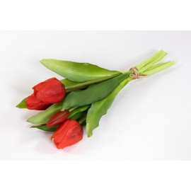 Natural Real Touch Tulip Bunch 32 x 20 cm with 5 Flowers DP Artificial Flowers Tulips Latex (Red)
