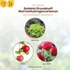Solabiol Basic Material Sodium Hydrogen Carbonate, Natural Defence Against Fungal