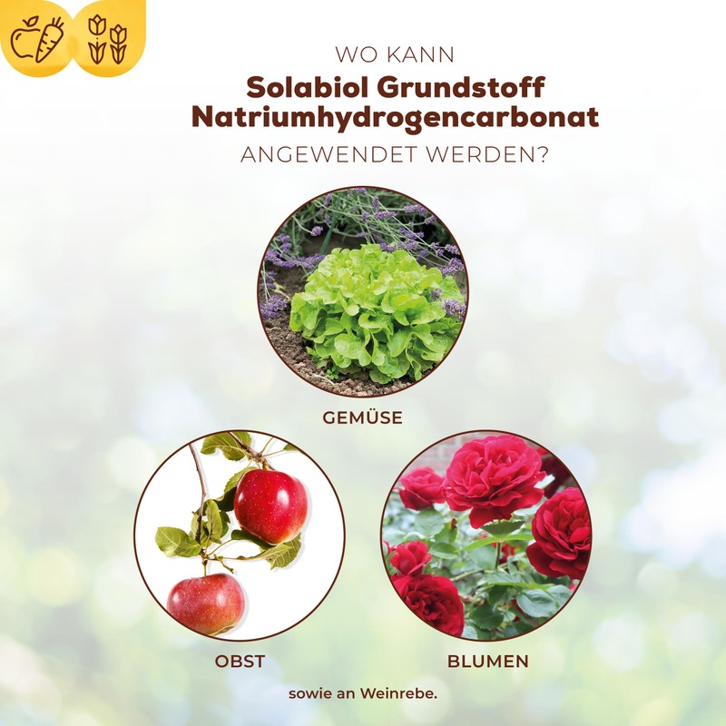 Solabiol Basic Material Sodium Hydrogen Carbonate, Natural Defence Against Fungal