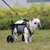 BECROWM Small Dog Wheelchair for Back Legs, Light Weight Dog&Cat&Pets