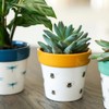 Ivyline Planter, Ceramic, Bumble Bee, 7 x 7cm