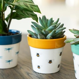 Ivyline Planter, Ceramic, Bumble Bee, 7 x 7cm