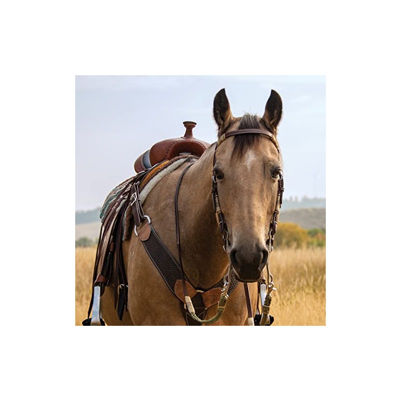 Cashel Rawhide Browband Headstall Double Trim