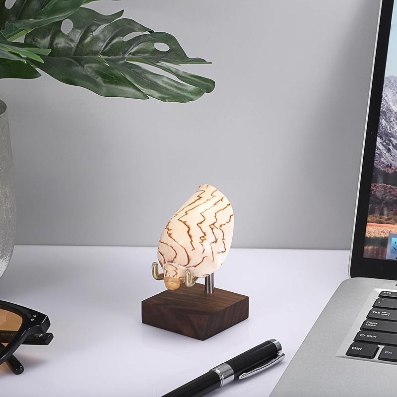 Rurumi 万能 ディスプレイスタンド 2個セット 木製台座 展示 イーゼル スタンド トレカ 原石