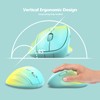 Ergonomic Wireless Mouse with USB Receiver for PC Computer, Laptop