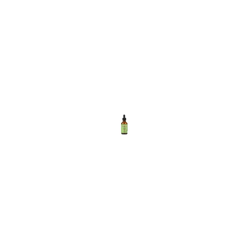 Mielle Aceite Fortalecedor Del Cuero Cabelludo, Romero 59ml