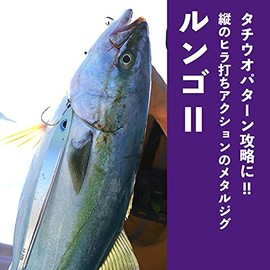 アズーロ ルンゴII 220g タテホロシルバーＧＨ オフショア ジグ タチウオパターン スロージギング ジギング