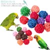 Samcos Parakeet, Mini Munche Ball, 1.2 inches (3 cm) Size,