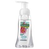 Palmolive Heavenly Hands Foaming Hand Wash Lemon And White Citrus