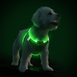 PcEoTllar Light Up Dog Harness, LED Dog Harness for Puppy Small Medium Dogs, Rechargeable No Pull Reflective Dog Harness, Flashing Lighted Dog Harness for Night Walking (Green,s)
