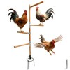 Paiaojia Chicken Perch Toys for Coop & Backyard Chickens, Large