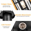 Brilvibera 2 Packs Outdoor Post Light, Black Pole Lantern Lighting