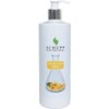 Schupp Arnica Massage Lotion 500 ml