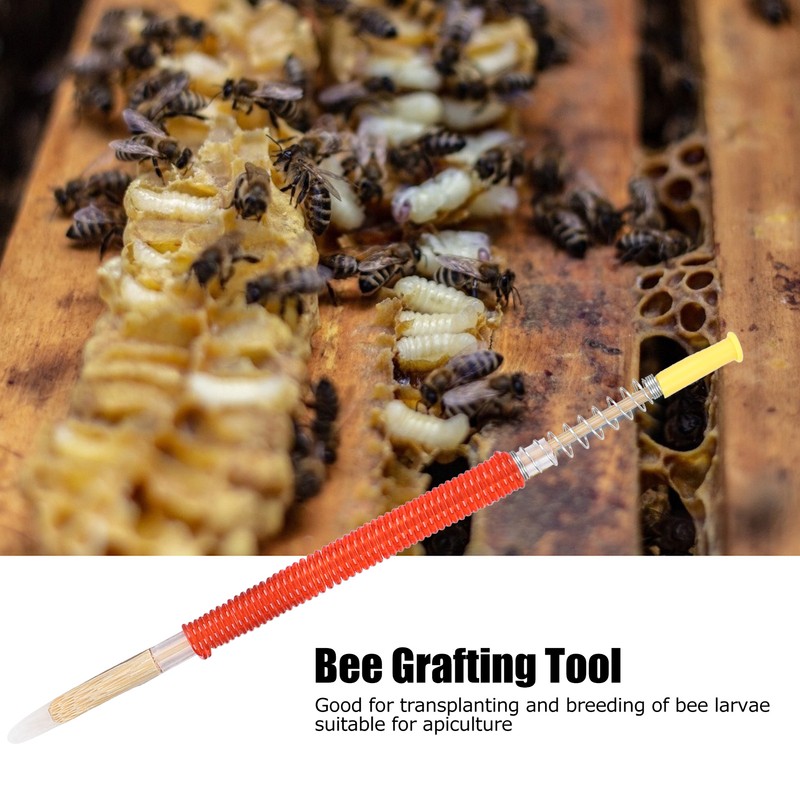 25Pcs Beekeeping Larvae Grafting Needle Bee Queen Rearing Tool Apiculture