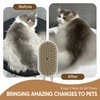 4 in 1 Cat Steam Brush for Shedding - Pet
