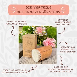 Stephanie Franck Beauty - Dry Brushing Face Brush - Dry Massage Face Brush Made of Soft Goat Hair and Beech Wood - Cleansing, Exfoliating and Stimulating for Radiant Skin