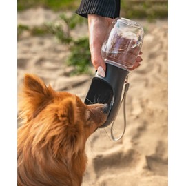 lionto 350 ml Water Bottle for Dogs Portable Leak-Proof Water Bottle for Travel Water Dispenser, Black