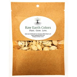 Pumpkin Seeds for Planting - to Plant Connecticut Fields Pumpkins - Large 200 Count Packet!