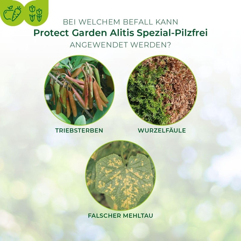 3 x 40 g Alitis Special Mushroom Free