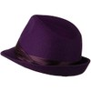 Ashen Fane Wool Fedora with Pleated Satin Band, Purple OSFM