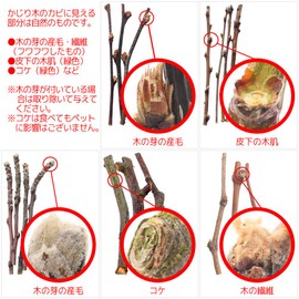 And 28 年産 Domestic Thigh Tree Superfine Branches G Wood Chew for Small Animals Toy No Additives No Coloration