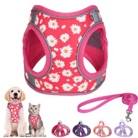 Step in Dog Harness and Leash Set, Flower Adjustable Easy Walk Puppy Harnesses, Soft Mesh Pet Vest Harness Small Size Dog Adjustable No Pull Dog Harness for Small Medium Dogs(Rose red, M)