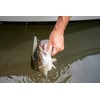 Berkley PowerBait Power Jerk Shad Fishing Soft Bait