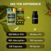 Probióticos Akkermansia Muciniphila 320b Ufc 120 Cápsulas