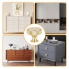 lixulluo 4 PCS Gold Cabinet Knobs Knurled Wardrobe Handles Single