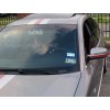 ORACAL 2 color Racing Stripe Graphics fit ANY YR Volkswagen