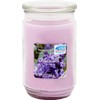 Mainstays 20oz Scented Candles 3-Pack (Lilac Breeze)
