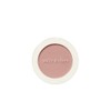 Daisyk Blending Mood Cheek Blusher 12g 10 Muted Nuts 1 / 데이지크 블렌딩 무드 치크 블러셔 12g 10 뮤티드 넛츠 1개